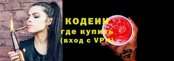 СК Бородино