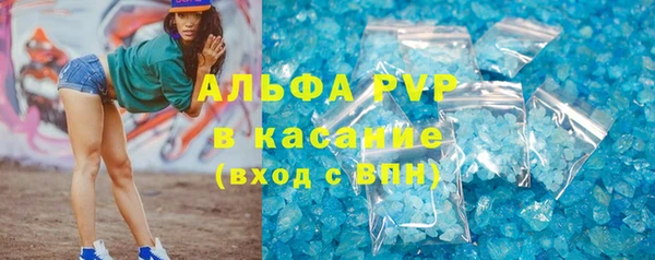 шишки Богородск