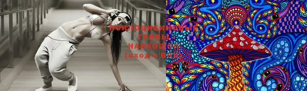 бошки Богородицк